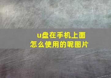 u盘在手机上面怎么使用的呢图片