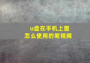 u盘在手机上面怎么使用的呢视频