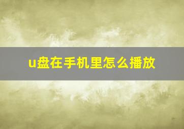 u盘在手机里怎么播放