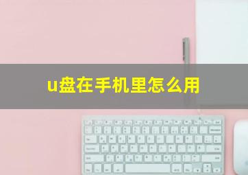 u盘在手机里怎么用