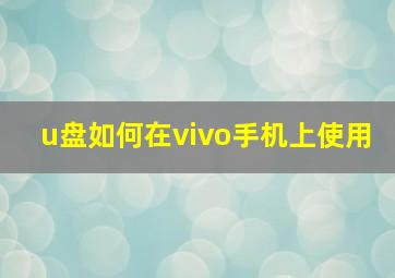 u盘如何在vivo手机上使用