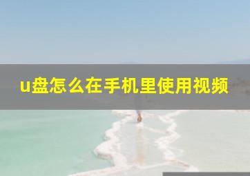 u盘怎么在手机里使用视频