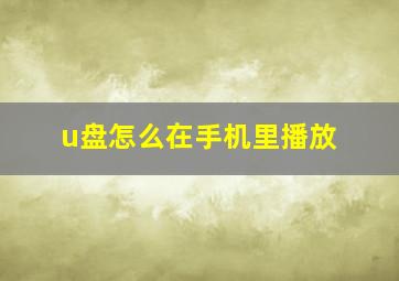 u盘怎么在手机里播放