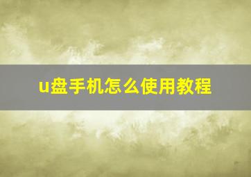 u盘手机怎么使用教程