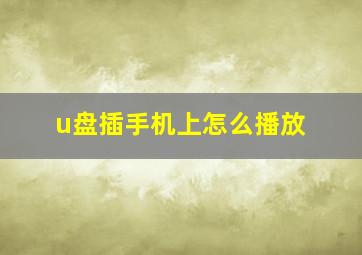 u盘插手机上怎么播放