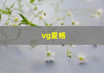 vg爱格