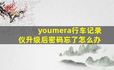 youmera行车记录仪升级后密码忘了怎么办