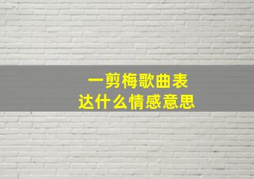 一剪梅歌曲表达什么情感意思