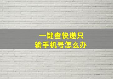 一键查快递只输手机号怎么办