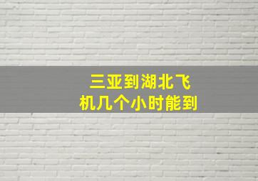 三亚到湖北飞机几个小时能到