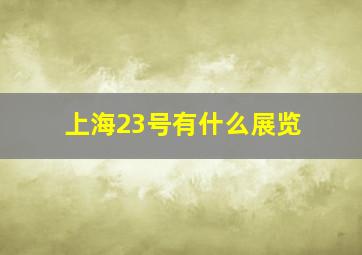 上海23号有什么展览