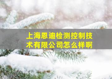 上海恩迪检测控制技术有限公司怎么样啊