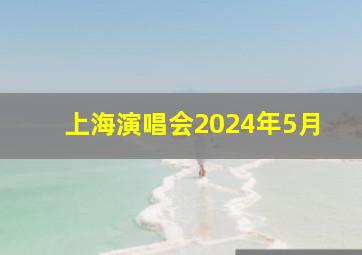 上海演唱会2024年5月