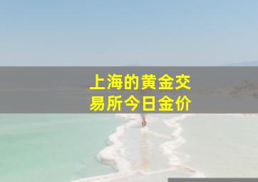 上海的黄金交易所今日金价