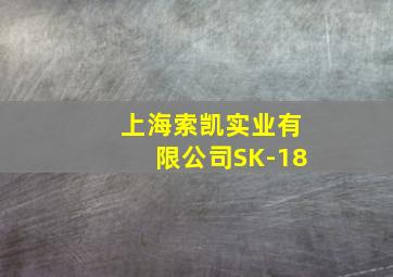 上海索凯实业有限公司SK-18