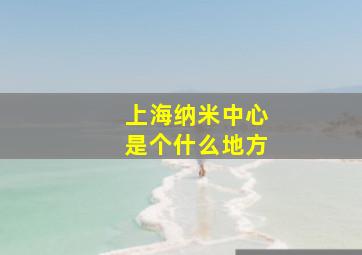 上海纳米中心是个什么地方