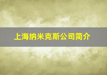 上海纳米克斯公司简介