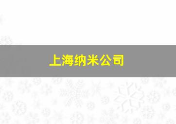 上海纳米公司