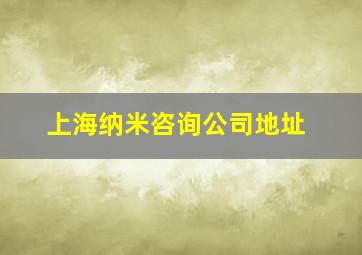 上海纳米咨询公司地址