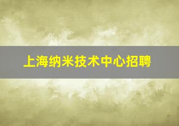 上海纳米技术中心招聘