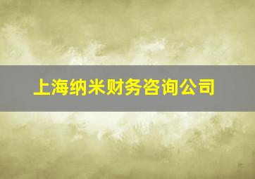 上海纳米财务咨询公司