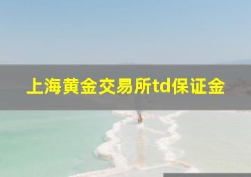 上海黄金交易所td保证金