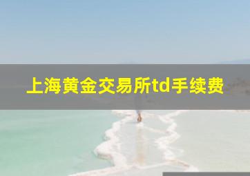 上海黄金交易所td手续费