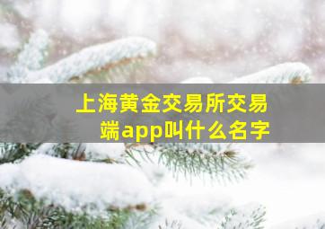 上海黄金交易所交易端app叫什么名字