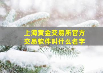 上海黄金交易所官方交易软件叫什么名字