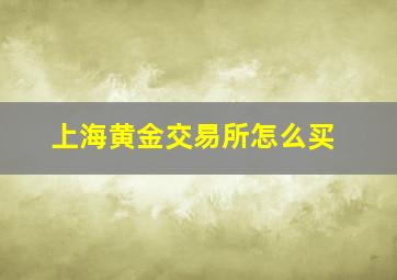 上海黄金交易所怎么买