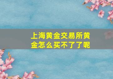 上海黄金交易所黄金怎么买不了了呢