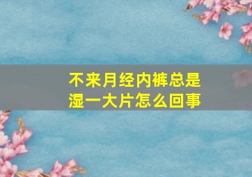 不来月经内裤总是湿一大片怎么回事