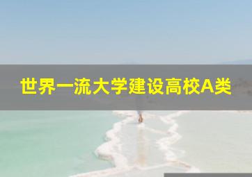 世界一流大学建设高校A类