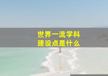 世界一流学科建设点是什么