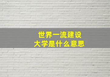 世界一流建设大学是什么意思