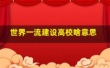 世界一流建设高校啥意思