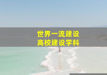 世界一流建设高校建设学科