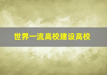 世界一流高校建设高校