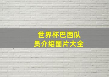 世界杯巴西队员介绍图片大全