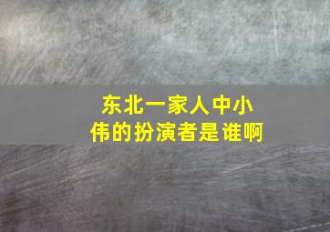 东北一家人中小伟的扮演者是谁啊