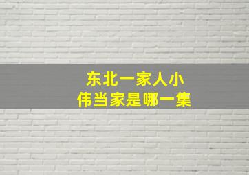 东北一家人小伟当家是哪一集