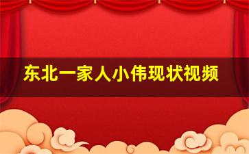 东北一家人小伟现状视频