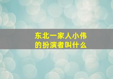 东北一家人小伟的扮演者叫什么