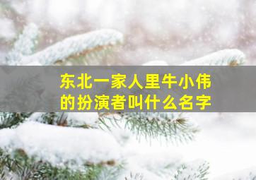 东北一家人里牛小伟的扮演者叫什么名字