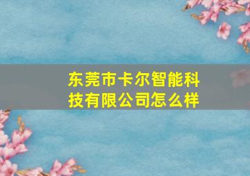 东莞市卡尔智能科技有限公司怎么样