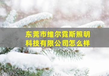 东莞市维尔霓斯照明科技有限公司怎么样