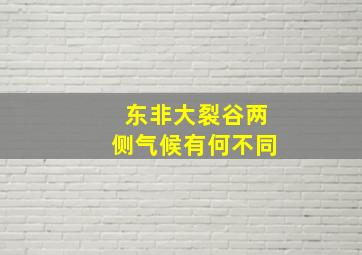 东非大裂谷两侧气候有何不同