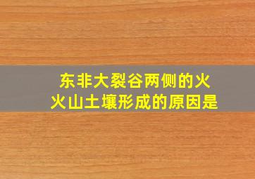 东非大裂谷两侧的火火山土壤形成的原因是