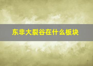 东非大裂谷在什么板块