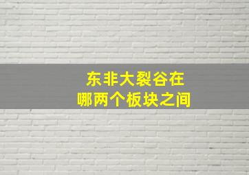 东非大裂谷在哪两个板块之间